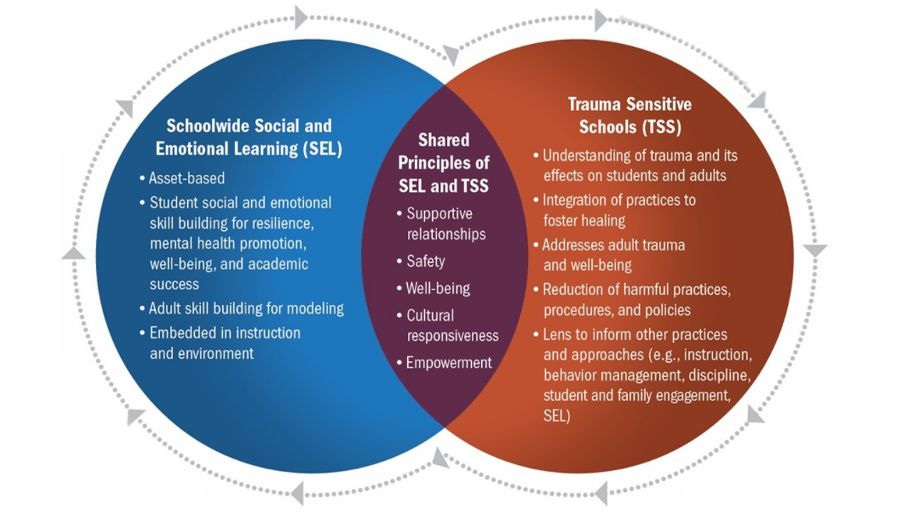 Venn Diagram detailing the shared principals of SEL and TSS